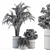 Green Oasis: Indoor Plant Set in Pot 3D model small image 5