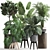 Tropical Plant Collection: Exotic Monstera, Alocasia, and Ficus 3D model small image 6