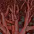  3D Olive Tree Model - PBR Material 3D model small image 4