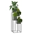 Green Oasis: Indoor Plants Collection 3D model small image 1