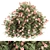 Pink Flower Plant Set - 33 Bush 3D model small image 4