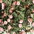 Pink Flower Plant Set - 33 Bush 3D model small image 2