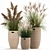 Exotic Plant Collection: Indoor & Outdoor Decor 3D model small image 1