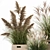 Exotic Plant Collection: Indoor & Outdoor Decor 3D model small image 2