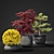 Outdoor Plant Pot Set: Red Dragon Maple, Forsythia & Pine Topiaries 3D model small image 3