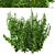 Thriving Trio: Common Nettle Plants 3D model small image 4