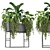 Green Oasis Indoor Plants Collection 3D model small image 4