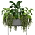 Green Oasis Indoor Plants Collection 3D model small image 5