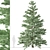 Pristine Duo: White Fir Trees 3D model small image 3