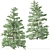 Pristine Duo: White Fir Trees 3D model small image 4