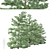 Pristine Duo: White Fir Trees 3D model small image 6