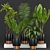 5-Piece Indoor Plant Set 3D model small image 2