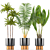 5-Piece Indoor Plant Set 3D model small image 3