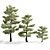 Pristine Pines: Realistic Pine Trees 3D model small image 1