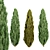 Evergreen Juniper Trees Collection 3D model small image 13