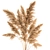 Title: Pampas Reed Bouquet 3D model small image 2