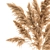 Title: Pampas Reed Bouquet 3D model small image 4