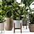  Rusty Concrete Pot Indoor Plants - Set 228 3D model small image 2