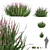 Versatile Outdoor Bush Collection 3D model small image 1