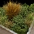 Lush Plant Collection: Vol. 236 3D model small image 3