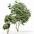 Japanese Cherry Leaf: Exquisite 3D Tree 3D model small image 3