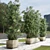 Outdoor Plant Collection: Concrete Vase, Tree Fern, Bamboo 3D model small image 3