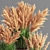 Pampas Indoor Plant Set 3D model small image 2