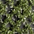 Green Wall - Outdoor Vertical Garden 3D model small image 2