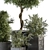 Concrete Pot Outdoor Plant Set 3D model small image 2