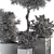 Concrete Pot Outdoor Plant Set 3D model small image 4