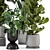 Ferm Living Bau Indoor Plant Set 3D model small image 4