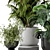 Ferm Living Bau Indoor Plant Set 3D model small image 6