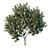 Graceful Michelia Tree: Premium 3D Model 3D model small image 2
