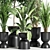 Indoor Plant Set 01Z: Beautiful and Versatile 3D model small image 2