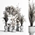 Indoor Plant Set 01Z: Beautiful and Versatile 3D model small image 6