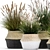 Tropical Plant Collection: Decorative Rattan Baskets & Exotic Indoor Plants 3D model small image 4