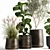 Exotic Plant Collection in Rustic Pots 3D model small image 2