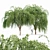 Elegant Weeping Willow Tree Duo 3D model small image 1