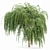 Elegant Weeping Willow Tree Duo 3D model small image 3