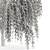 Elegant Weeping Willow Tree Duo 3D model small image 4