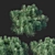 Sleek Succulent Senecio Cylindricus 3D model small image 2