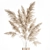 Elegant White Pampas Grass Bouquet 3D model small image 9