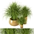 Assorted Indoor Plants Set 3D model small image 1