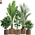 Variety of Plants 563 3D model small image 1