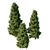 Exquisite Podocarpus Macrophyllus Tree 3D model small image 2