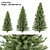  Evergreen Pine Trees Vol. 22 3D model small image 1