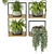 Rustic Indoor Plants Set 3D model small image 6