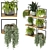 Rustic Indoor Plants Set 3D model small image 8