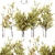 Elegant 3D Tree for Stunning Renders 3D model small image 1