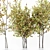 Elegant 3D Tree for Stunning Renders 3D model small image 2